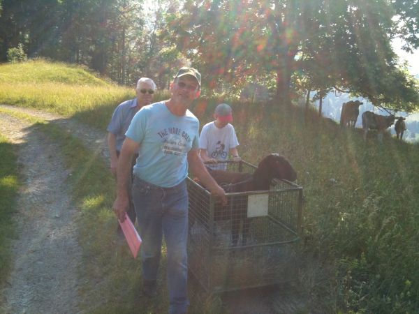 Impressionen-Wasserversorgung-Jonatal-Wald-0670