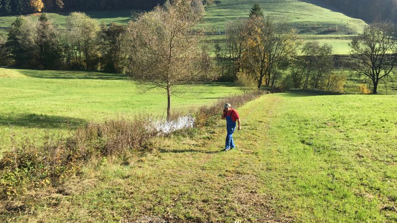 Impressionen-Wasserversorgung-Jonatal-Wald-2364